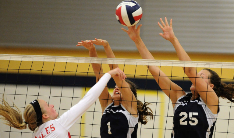 31st Annual David Pysyk Memorial Volleyball Tournament