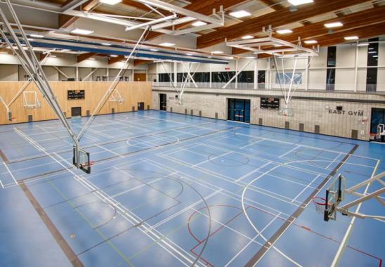 Panel 5: Side by Side (Photo)